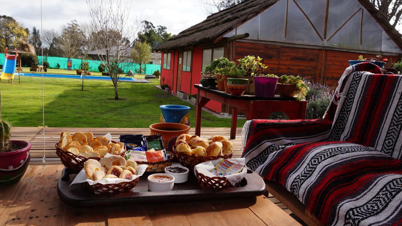 Lechuzas * Tandil