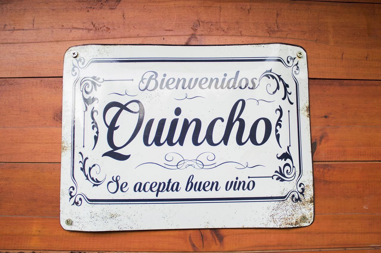 Lechuzas